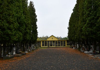 Jirkov, Omnium, 2020