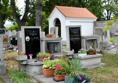 Městský hřbitov Bílina, Omnium, 2018