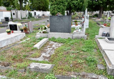 Městský hřbitov Bílina, Omnium, 2018