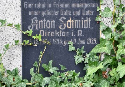 Městský hřbitov Bílina, Omnium, 2018