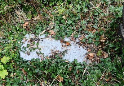 Židovský hřbitov Bílina, Omnium, 2018