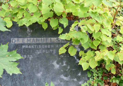 Židovský hřbitov Bílina, Omnium, 2018