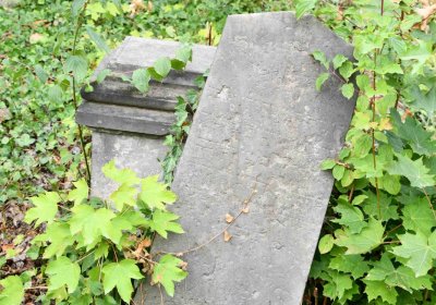 Židovský hřbitov Bílina, Omnium, 2018