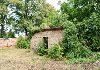 Židovský hřbitov Bílina, Omnium, 2018