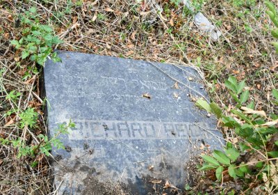 Židovský hřbitov Bílina, Omnium, 2018