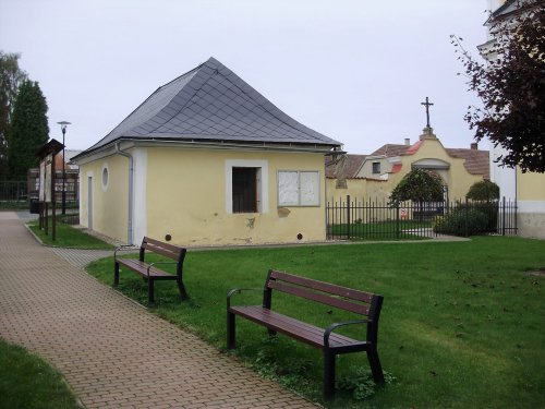 Janov