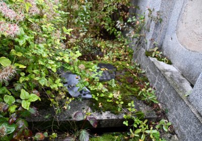 Mrzlice, Omnium, 2020