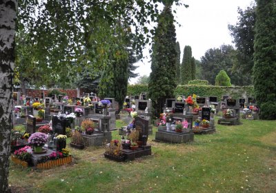 Velemín, Omnium, 2020