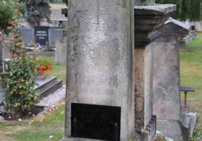 Velemín, Omnium, 2020