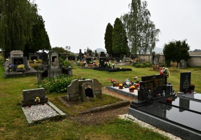 Velemín, Omnium, 2020