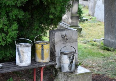 Velemín, Omnium, 2020