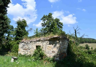 Milešov u kostela, Omnium, 2018