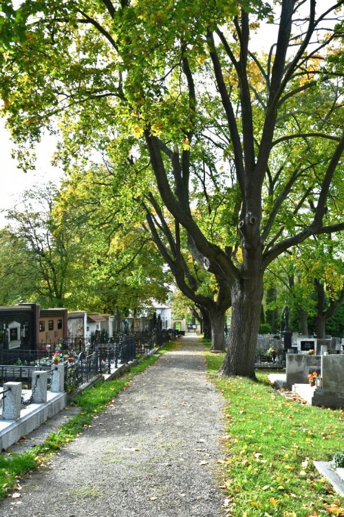 Kadaň