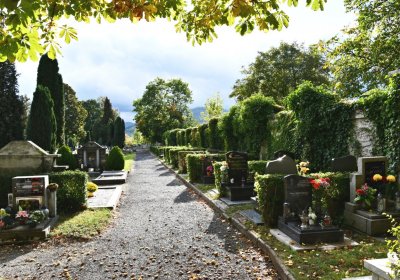 Klášterec na Ohří, Omnium, 2020