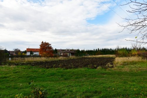 Údlice