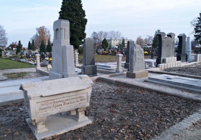 Brezina Peter, 2008