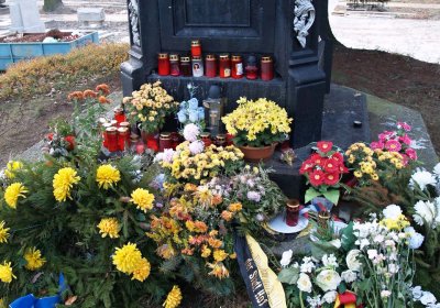 Brezina Peter, 2008