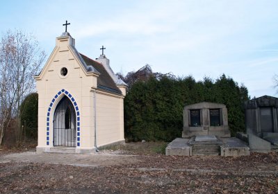 Brezina Peter, 2008