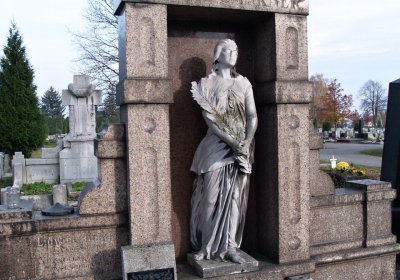 Brezina Peter, 2008