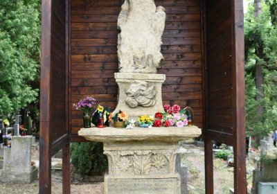 Most - městský, Omnium, 2018