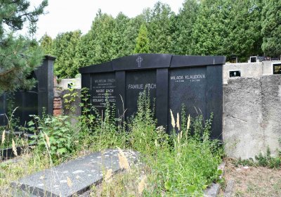 Most - městský, Omnium, 2018