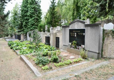 Most - městský, Omnium, 2018