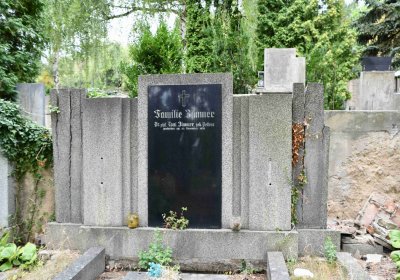 Most - městský, Omnium, 2018