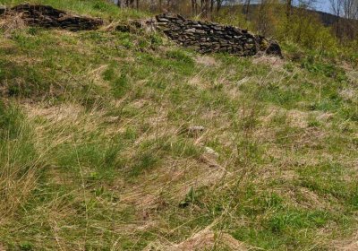 Hřbitov Heřmanovice, Omnium, 2017