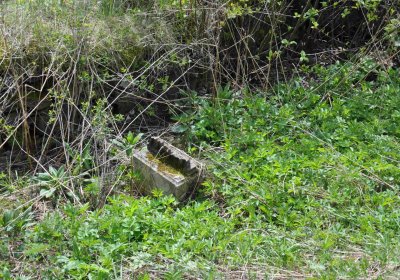 Hřbitov Heřmanovice, Omnium, 2017