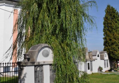 Marek Zdeněk, Větrovská Barbora, 2016