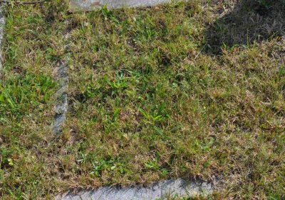 Marek Zdeněk, Větrovská Barbora, 2016