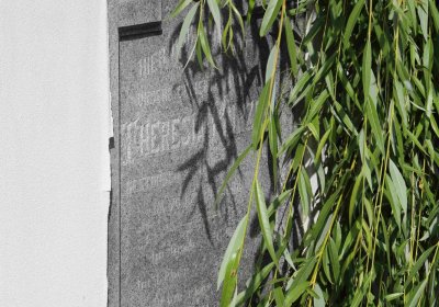 Marek Zdeněk, Větrovská Barbora, 2016