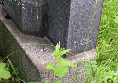 Pulkrtová Eva, 2009