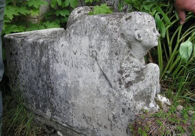 Pulkrtová Eva, 2009